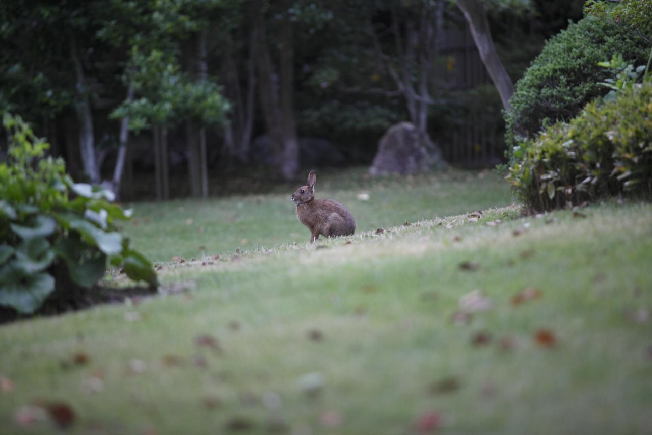 ホテル 葛城北の丸 袋井市 エクステリア 写真